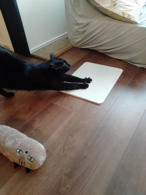 f:id:kubo666:20220527200708j:image