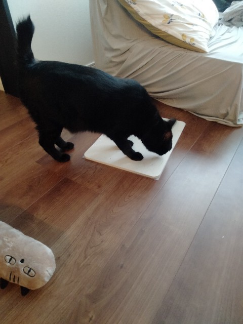 f:id:kubo666:20220527200724j:image