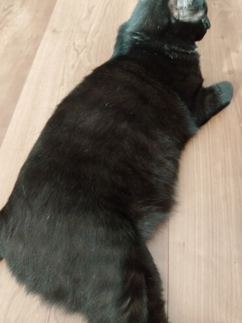 f:id:kubo666:20220527201427j:image