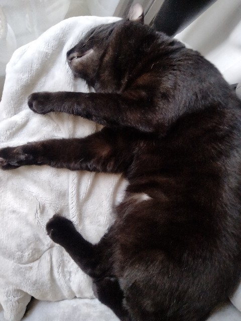 f:id:kubo666:20220919155100j:image