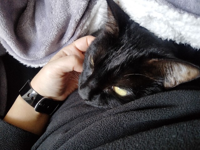 f:id:kubo666:20230114113753j:image