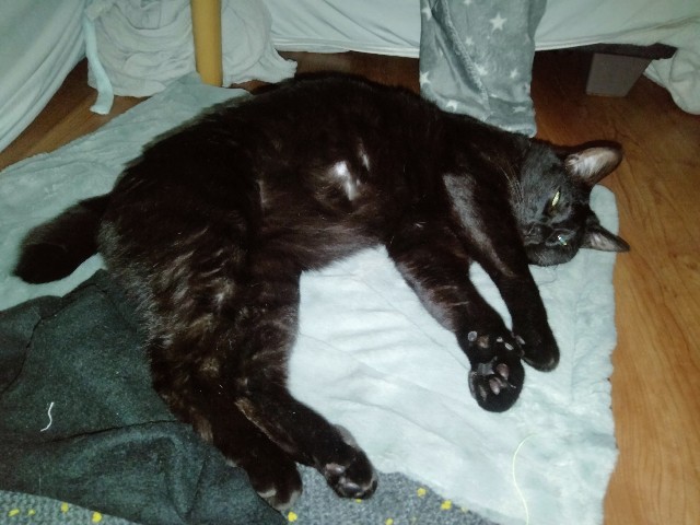 f:id:kubo666:20230325103802j:image