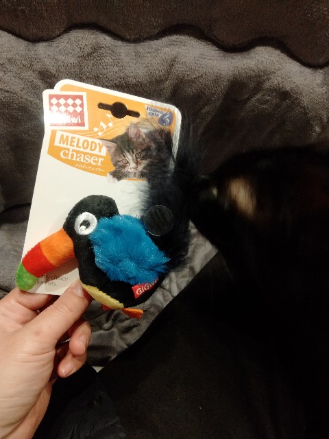 f:id:kubo666:20230325104130j:image