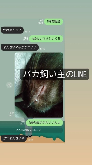 f:id:kubo666:20230325105831j:image