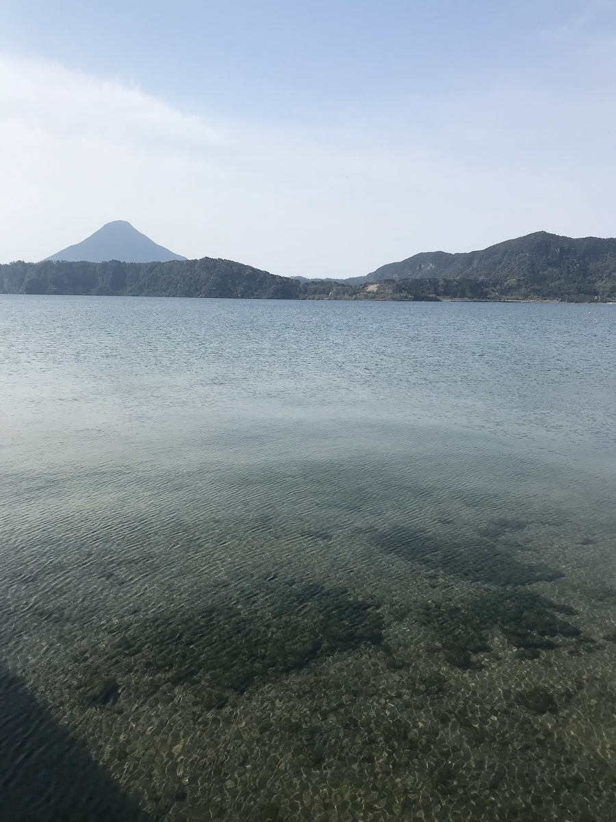 f:id:kubobo_piko35:20190321142938j:plain