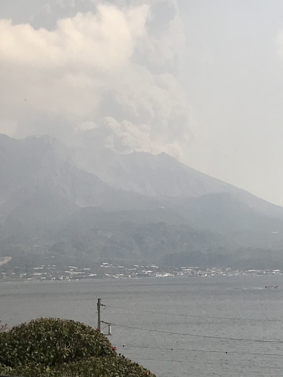 f:id:kubobo_piko35:20190321152156j:plain