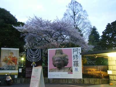 f:id:kubohashi:20090523001912j:image