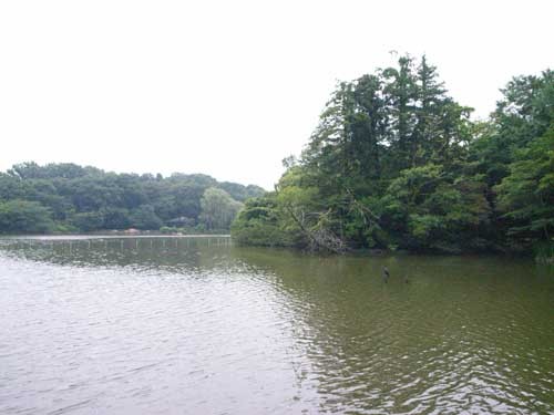 f:id:kubohashi:20090717220728j:image f:id:kubohashi:20090717220728j:image