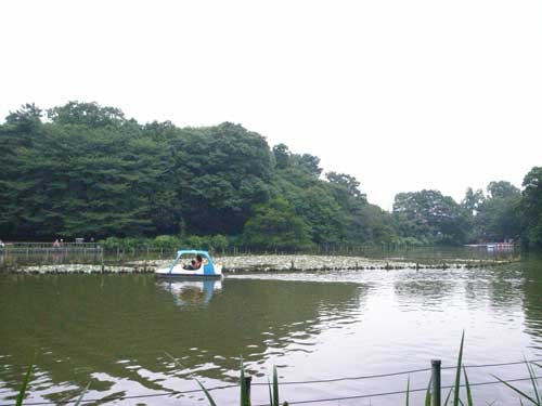 f:id:kubohashi:20090717220730j:image f:id:kubohashi:20090717220730j:image