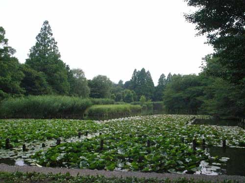 f:id:kubohashi:20090725215257j:image