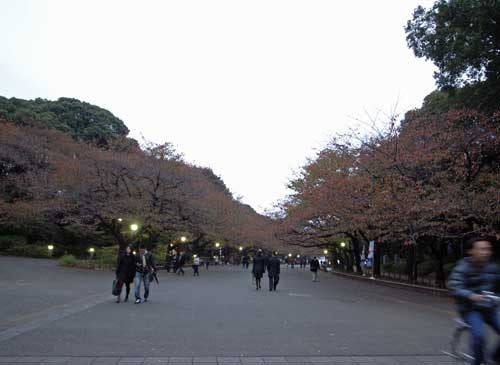 f:id:kubohashi:20091123233742j:image