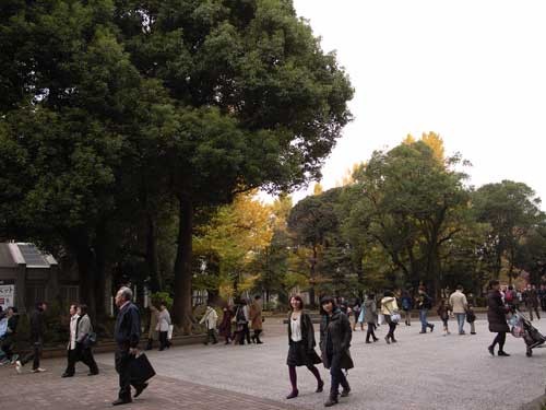 f:id:kubohashi:20091123233744j:image