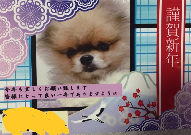 f:id:kubokubokun:20190101020745j:plain f:id:kubokubokun:20190101020745j:plain