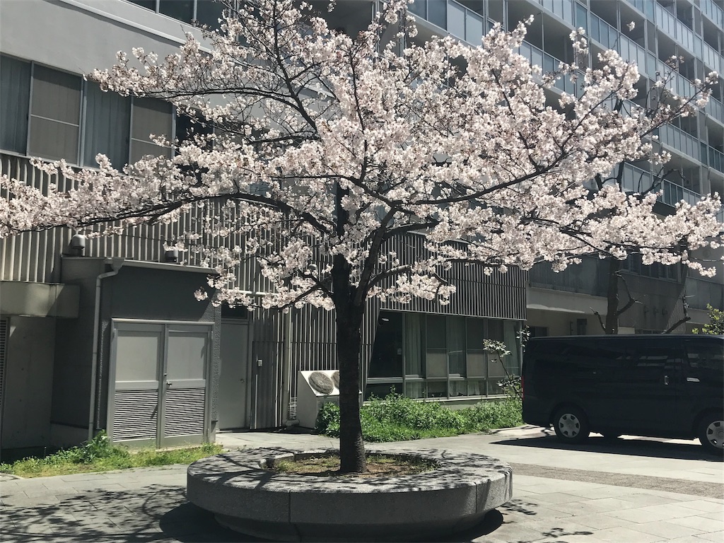 f:id:kuboyan71:20190428110358j:image f:id:kuboyan71:20190428110358j:image