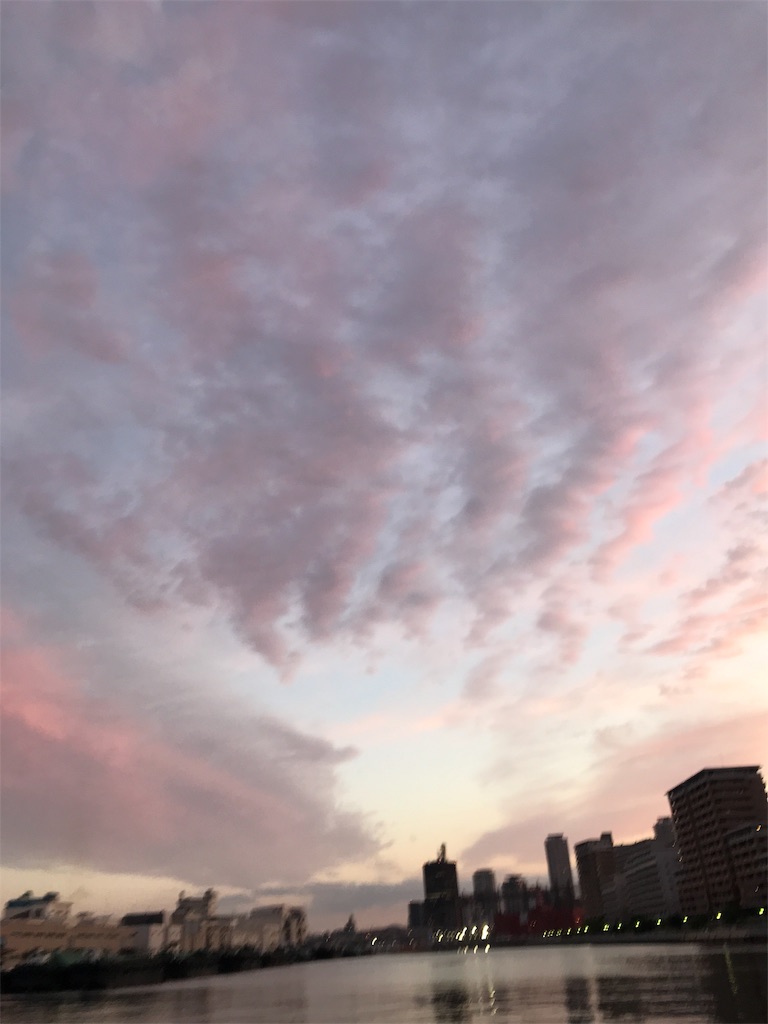 f:id:kuboyan71:20190521190612j:image
