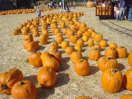 f:id:kuboyumi:20061007103752j:image