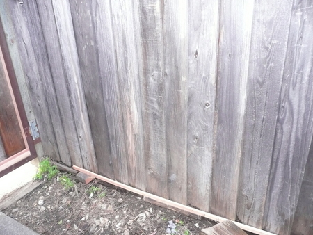 f:id:kuboyumi:20080114160259j:image