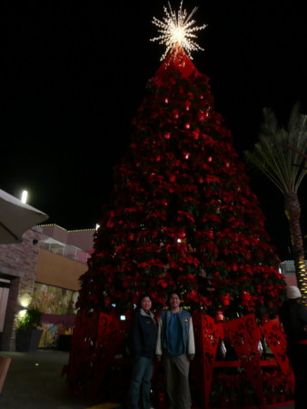 f:id:kuboyumi:20081221183139j:image f:id:kuboyumi:20081221183139j:image