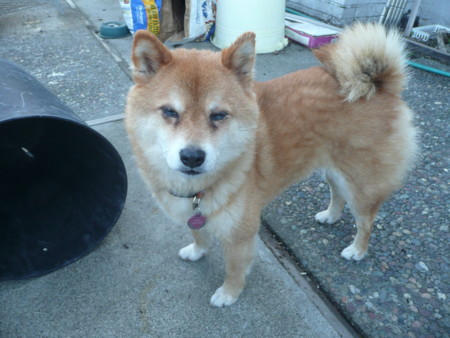 f:id:kuboyumi:20090101170318j:image f:id:kuboyumi:20090101170318j:image