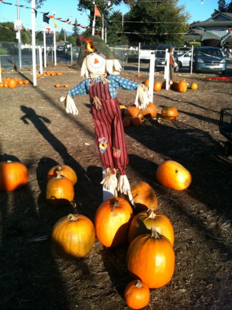 f:id:kuboyumi:20101031165111j:image