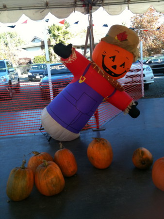 f:id:kuboyumi:20101031165137j:image