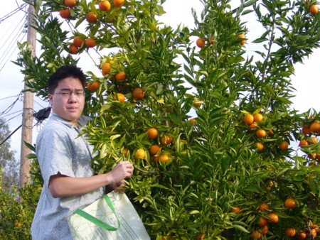 f:id:kuboyumi:20101225092810j:image