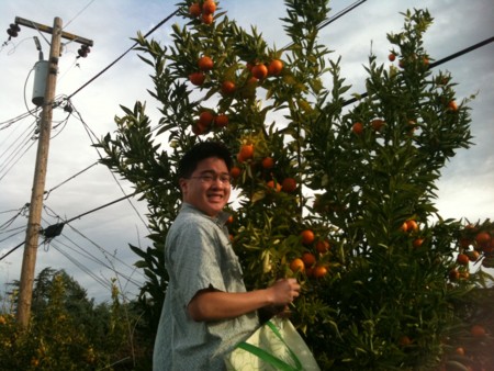 f:id:kuboyumi:20101225093445j:image