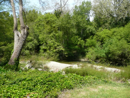 f:id:kuboyumi:20110414132940j:image