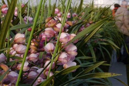 f:id:kuboyumi:20160115231820j:image