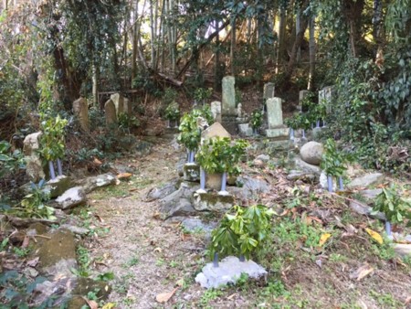 f:id:kuboyumi:20160116140700j:image