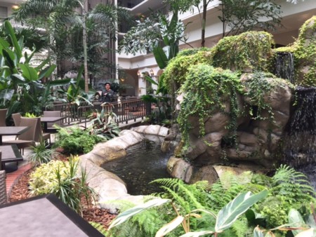 f:id:kuboyumi:20170519075914j:image