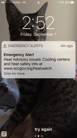 f:id:kuboyumi:20170902130146p:image