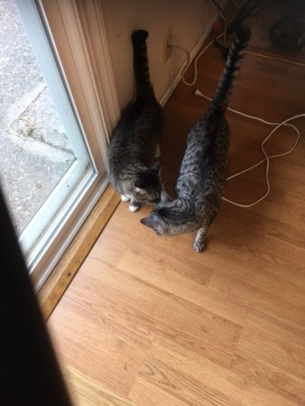 f:id:kuboyumi:20170918173558j:image