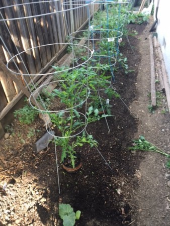 f:id:kuboyumi:20180611024348j:image