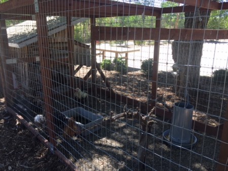 f:id:kuboyumi:20180808234714j:image