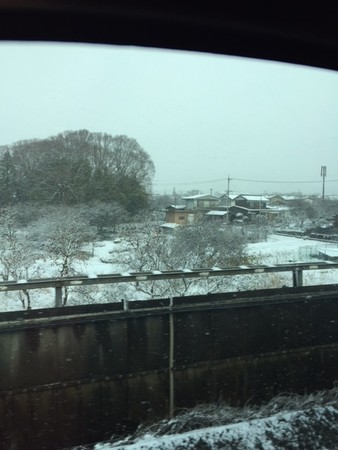 f:id:kuboyumi:20190110111247j:image