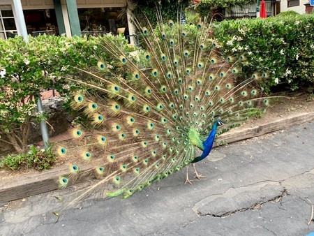 f:id:kuboyumi:20190607103828j:image