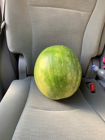 f:id:kuboyumi:20190705110745j:image f:id:kuboyumi:20190705110745j:image