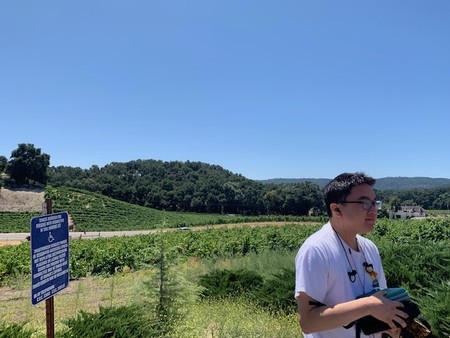 f:id:kuboyumi:20190812233213j:image