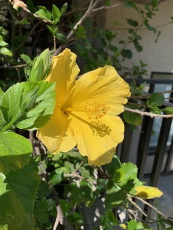 f:id:kuboyumi:20200926155500j:image