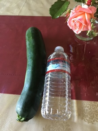 f:id:kuboyumi:20210117103144j:image