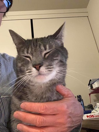 f:id:kuboyumi:20210312064337j:image