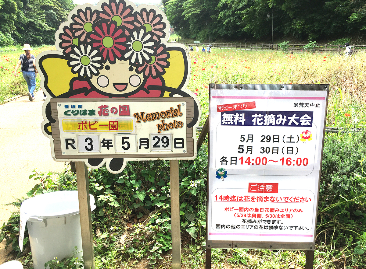 ポピー花摘み大会の案内看板