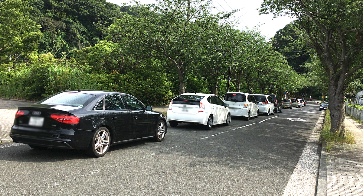 駐車場待ちをする車の列