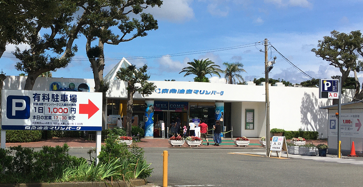 油壷マリンパークの駐車場