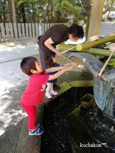 f:id:kuchakun:20190504101544j:plain f:id:kuchakun:20190504101544j:plain