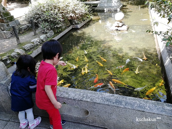 f:id:kuchakun:20190504104126j:plain f:id:kuchakun:20190504104126j:plain