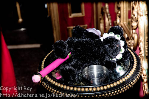 f:id:kuchinawa:20110130175806j:image f:id:kuchinawa:20110130175806j:image