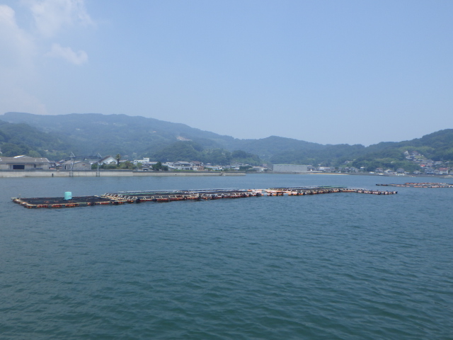 f:id:kuchinotsu:20180719151739j:plain