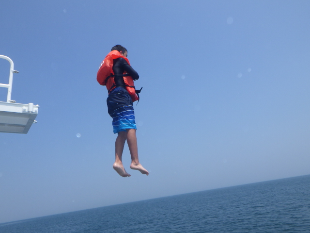 f:id:kuchinotsu:20180719152632j:plain